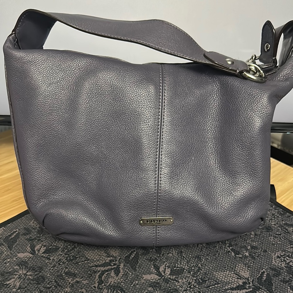 Coach plumb Leather Hobo Bag